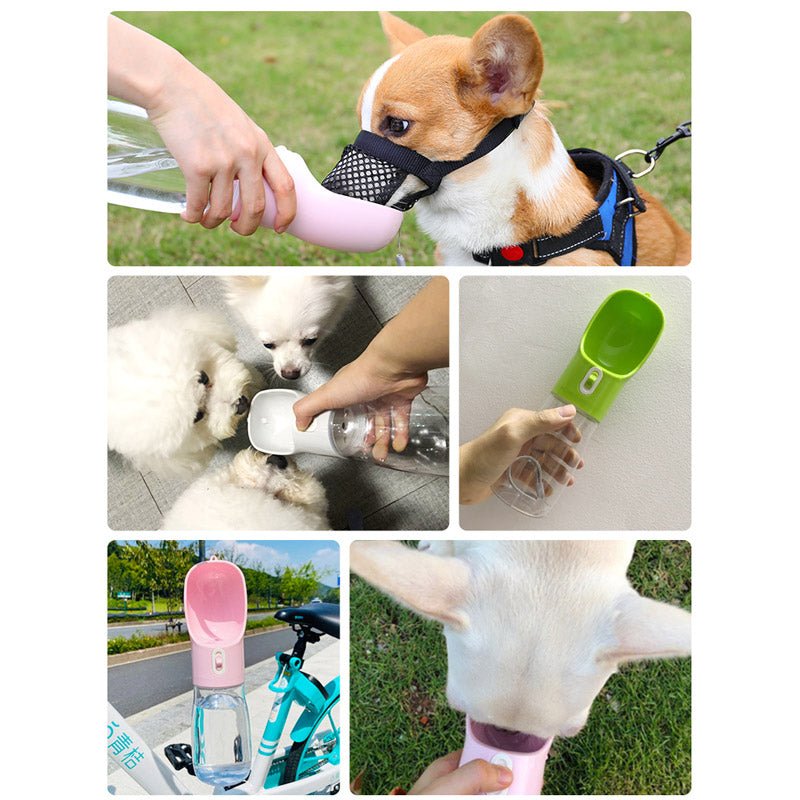 Pet Dog Water Bottle Feeder - Mateo Starr
